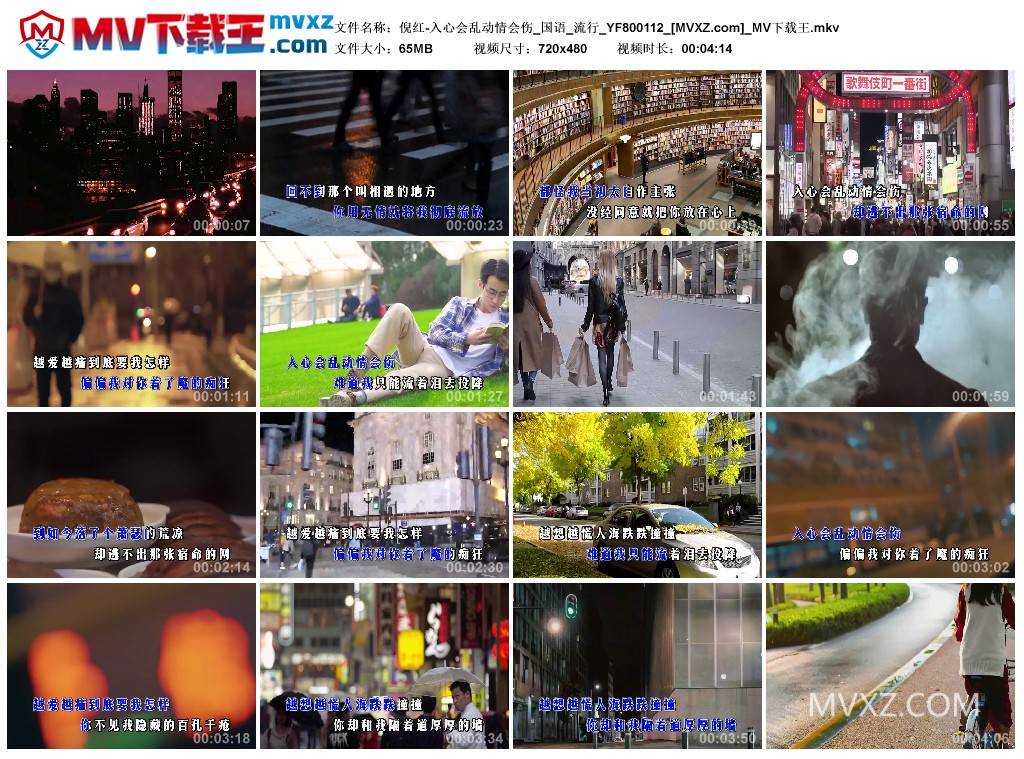 倪红-入心会乱动情会伤_国语_流行_YF800112